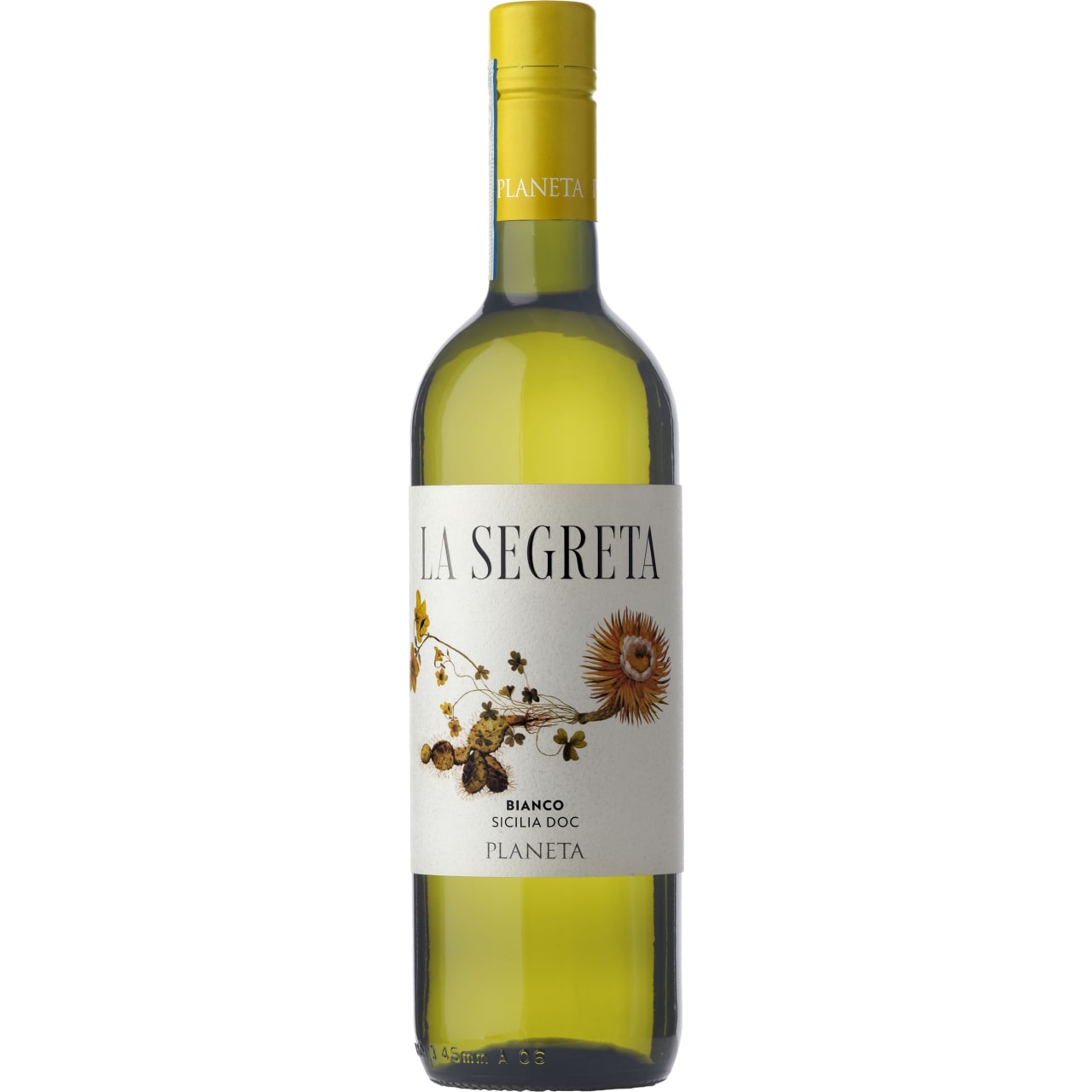 Planeta La Segreta Bianco 2024