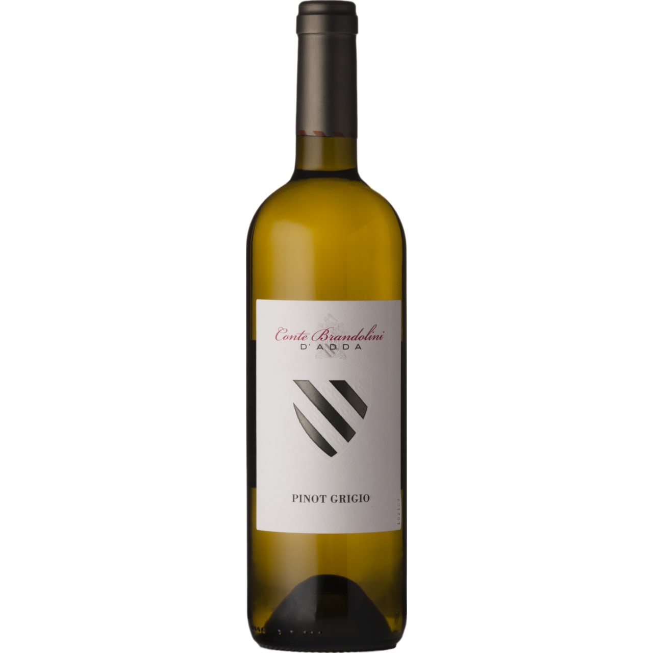 Brandolini Pinot Grigio DOC Friuli 2024