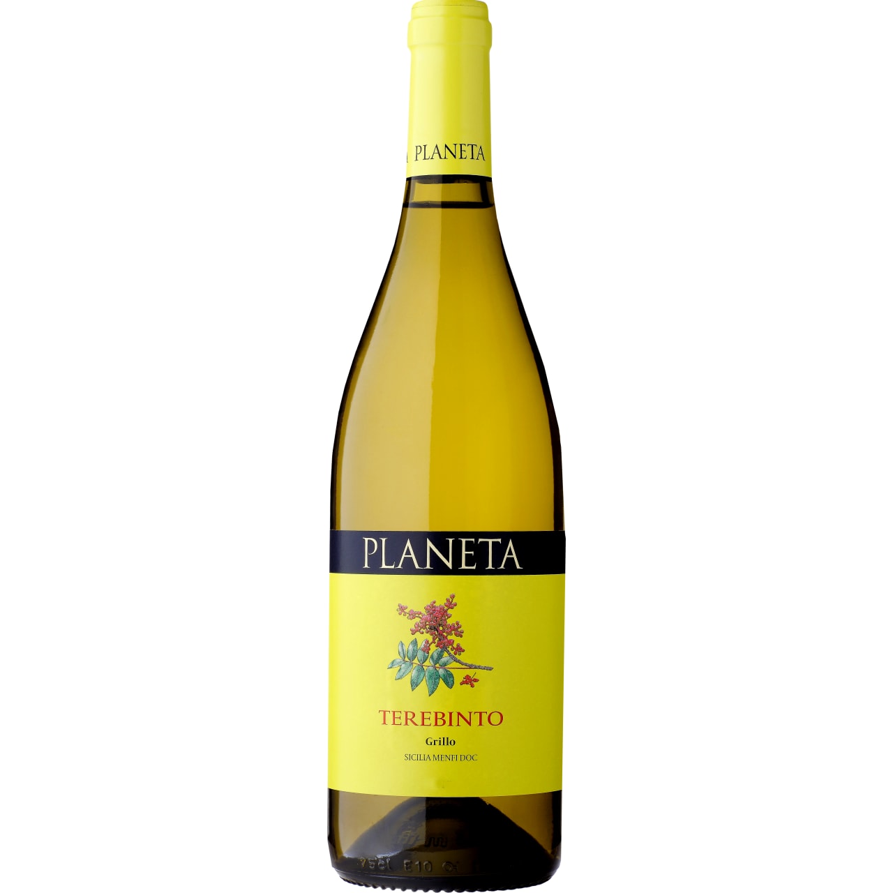 Planeta Terebinto Grillo 2025
