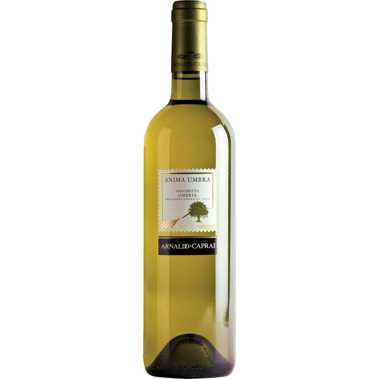 Arnaldo Caprai Anima Umbra Grechetto 2024