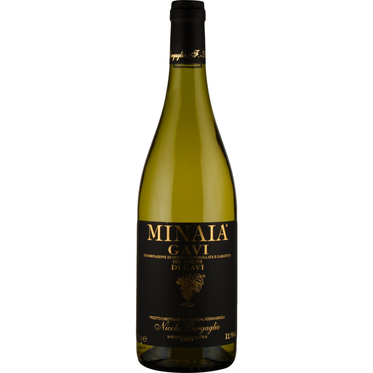 Bergaglio Gavi di Gavi, La Minaia 2025