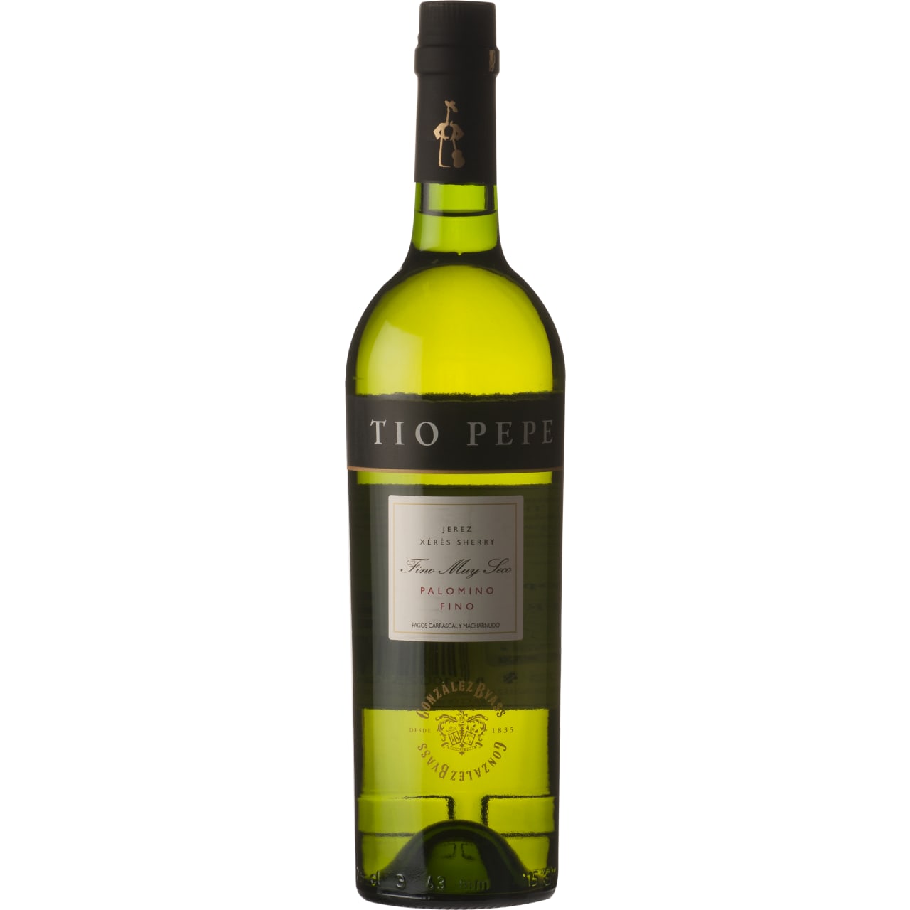 TIO PEPE Tío Pepe NV