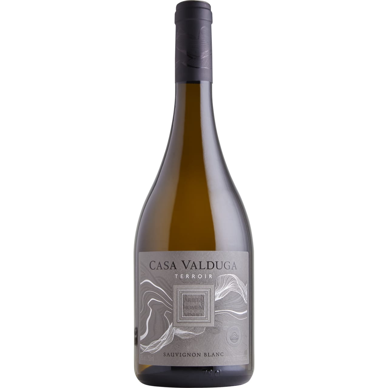 Casa Valduga Terrior Sauvignon Blanc 2022